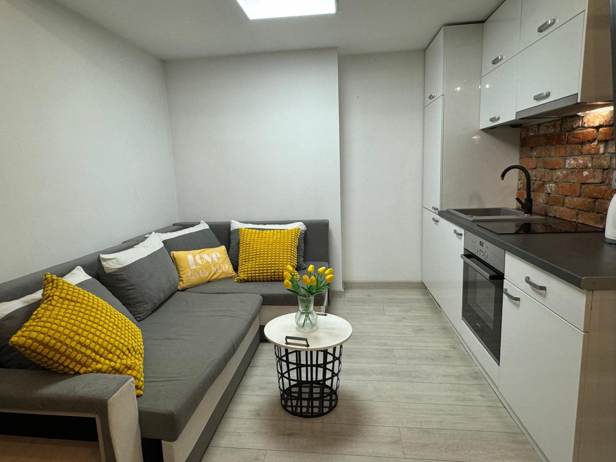 Апартаменти Salwator Loft Краків